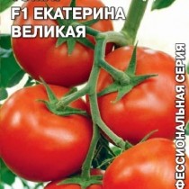 Томат сорта «Екатерина Великая F1» Томат сорта «Екатерина Великая F1»