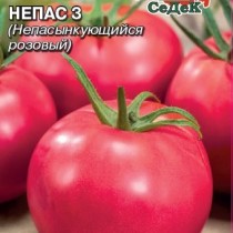 Томат Непас 3 (Непасынкующийся розовый) Томат Непас 3 (Непасынкующийся розовый)