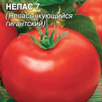 Томат Непас 7 (Непасынкующийся гигантский) Томат Непас 7 (Непасынкующийся гигантский)