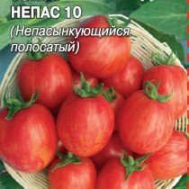 Томат Непас 10 (Непасынкующийся полосатый) Томат Непас 10 (Непасынкующийся полосатый)