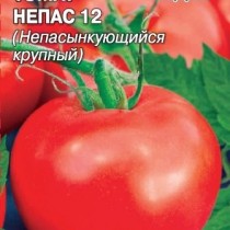 Томат Непас 12 (Непасынкующийся крупный) Томат Непас 12 (Непасынкующийся крупный)