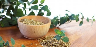 Душица обыкновенная, или Орегано (Origanum vulgare)