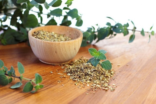 Душица обыкновенная, или Орегано (Origanum vulgare) Душица обыкновенная, или Орегано (Origanum vulgare)