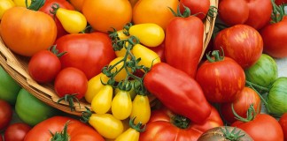 Сорта томатов селекции агрофирмы Аэлита