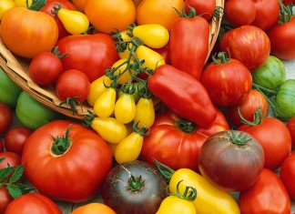 Сорта томатов селекции агрофирмы Аэлита