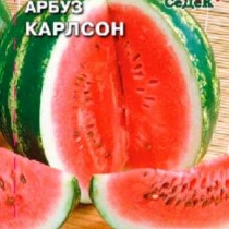 Арбуз Карлсон Арбуз Карлсон