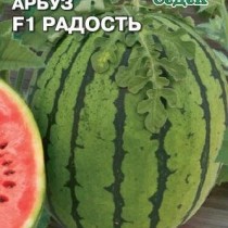 Арбуз Радость F1 Арбуз Радость F1