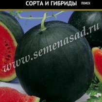 Арбуз Шуга Бейби Арбуз Шуга Бейби