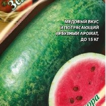 Арбуз Зеленая торпеда Арбуз Зеленая торпеда