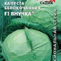 Капуста белокочанная Внучка F1 Капуста белокочанная Внучка F1