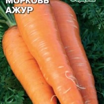 Морковь Ажур от агрофирмы «СеДеК»