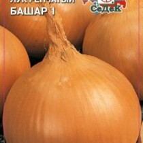 Лук репчатый Башар Лук репчатый Башар