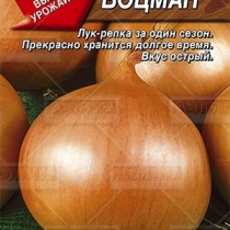 Лук репчатый Боцман Лук репчатый Боцман