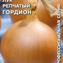 Лук репчатый Гордион