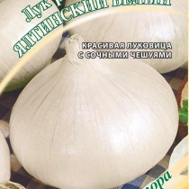 Лук репчатый Ялтинский белый Лук репчатый Ялтинский белый