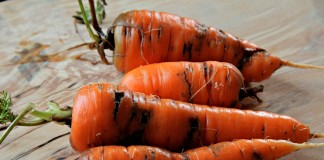 Морковь, повреждённая личинками морковной мухи