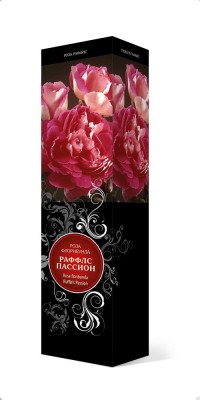 Роза «Раффлс Пассион» (Rosa 'Ruffles Passion') Роза «Раффлс Пассион» (Rosa 'Ruffles Passion')