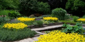 Ритмические приемы в оформлении цветников