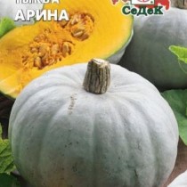 Тыква Арина Тыква Арина