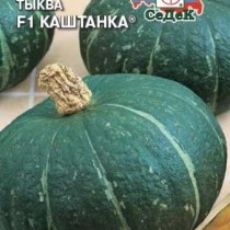 Тыква Каштанка F1 Тыква Каштанка F1