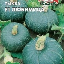 Тыква Любимица F1 Тыква Любимица F1