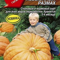 Тыква Небывалый размах Тыква Небывалый размах
