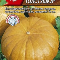 Тыква Толстушка Тыква Толстушка