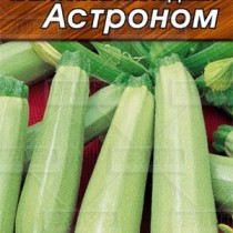 Кабачок «Астроном»