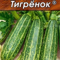 Кабачок «Тигренок» Кабачок «Тигренок»