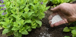 Применение минеральных удобрений