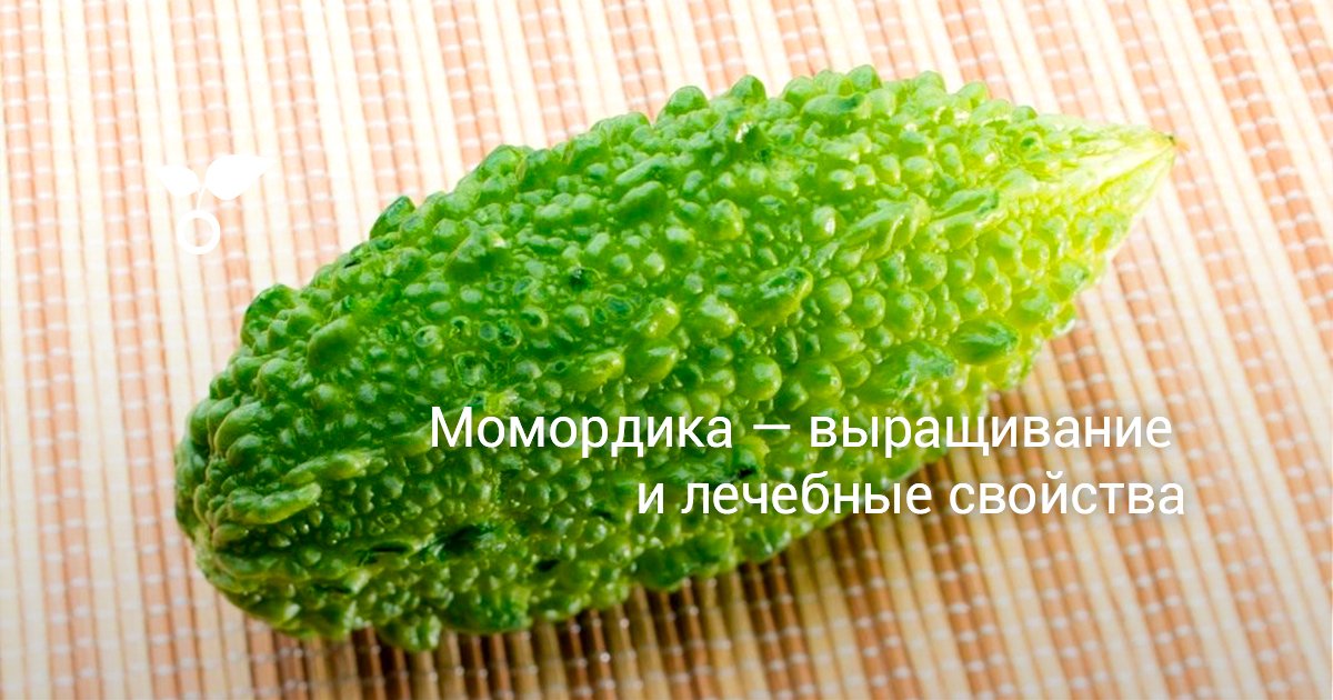 Момордика харантская