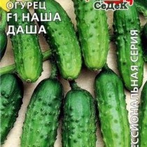 Огурец «Наша Даша F1» Огурец «Наша Даша F1»