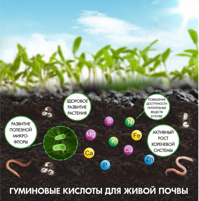 Гуминовые кислоты Гуминовые кислоты