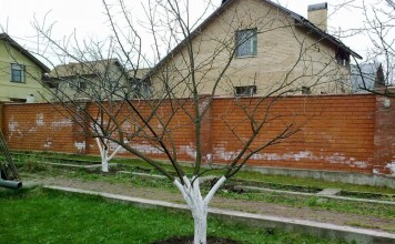 Весенний уход за садом