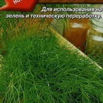 Укроп «Борей» Укроп «Борей»