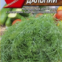 Укроп «Дальний» Укроп «Дальний»