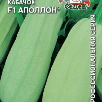 Кабачок «Аполлон F1» Кабачок «Аполлон F1»