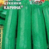 Кабачок «Карина» Кабачок «Карина»