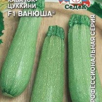 Кабачок «Ванюша F1» Кабачок «Ванюша F1»