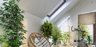Крупные растения в интерьере