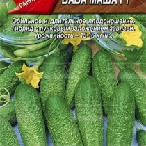 Огурец «Баба Маша» Огурец Баба Маша