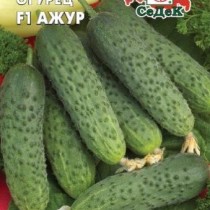 Огурец «Ажур» Огурец «Ажур»