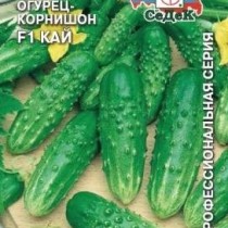 Огурец «Кай» Огурец «Кай»
