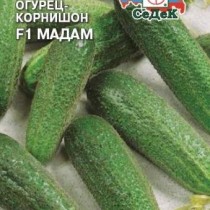 Огурец «Мадам» Огурец «Мадам»
