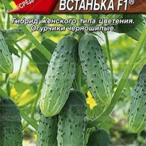 Огурец «Ванька-Встанька» Огурец Ванька-Встанька