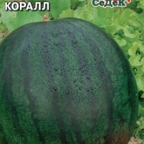 Арбуз «Коралл»