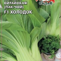 Пекинская капуста «Холодок F1» Пекинская капуста «Холодок F1»