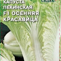 Пекинская капуста «Осенняя красавица F1» Пекинская капуста «Осенняя красавица F1»