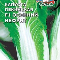 Пекинская капуста «Осенний нефрит F1» Пекинская капуста «Осенний нефрит F1»