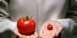 Селекция